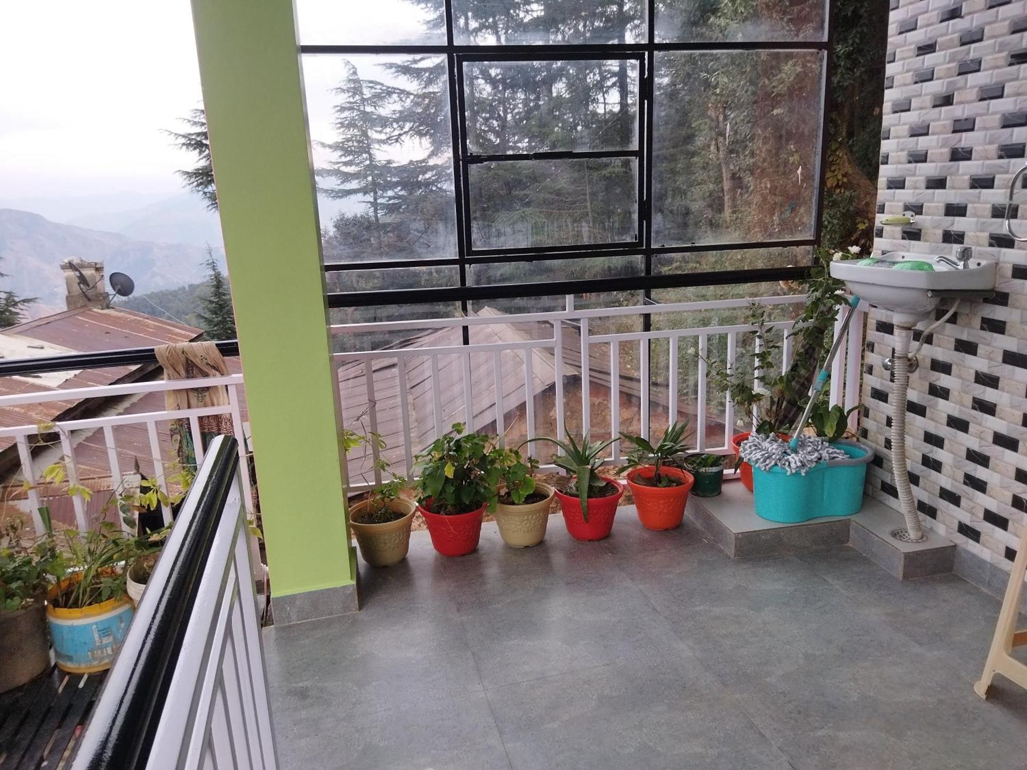 Tree Valley Homestay Chail Extérieur photo