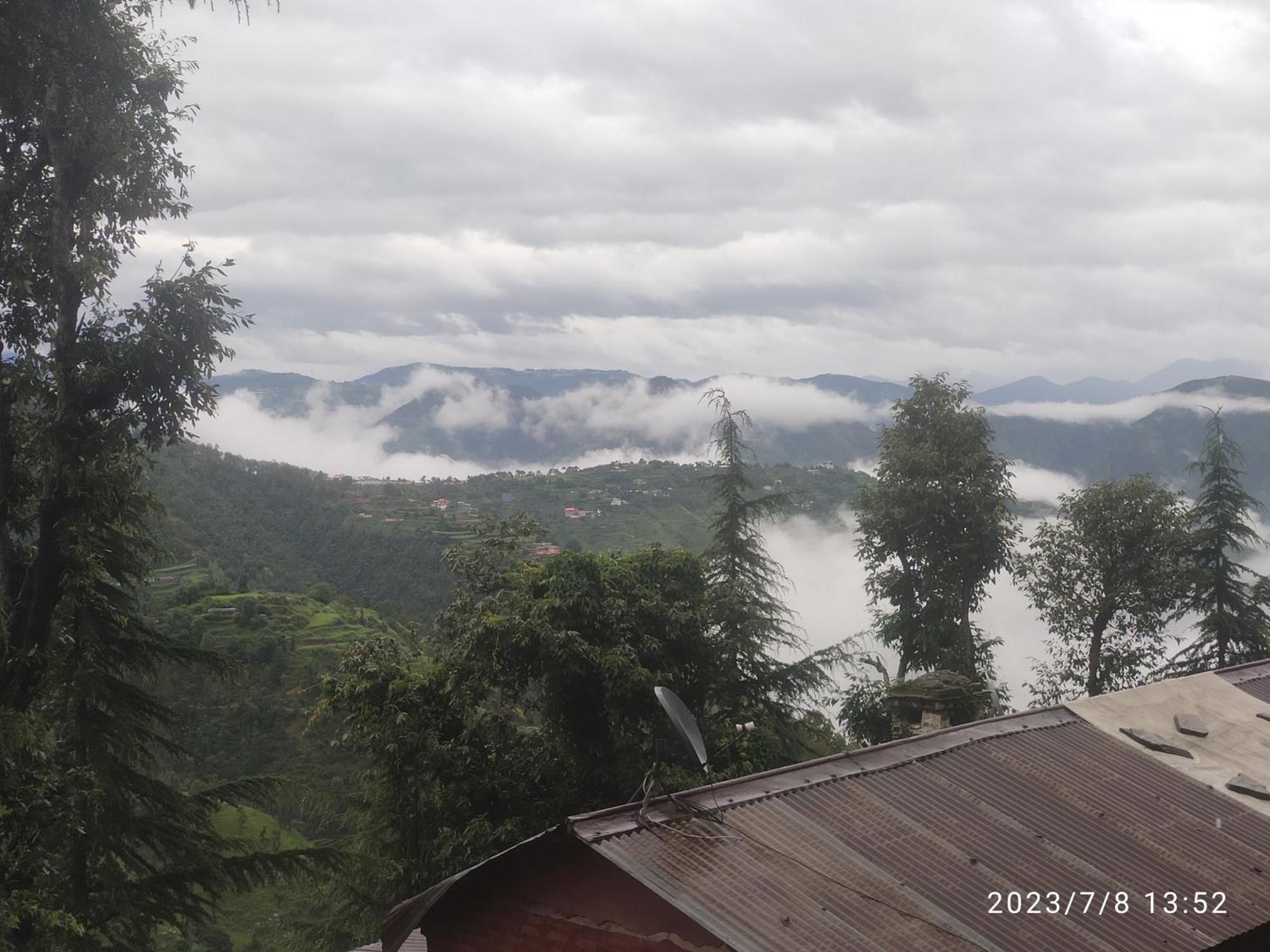 Tree Valley Homestay Chail Extérieur photo