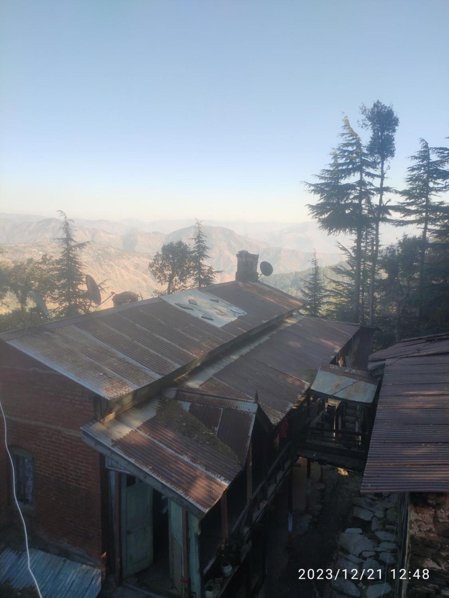 Tree Valley Homestay Chail Extérieur photo