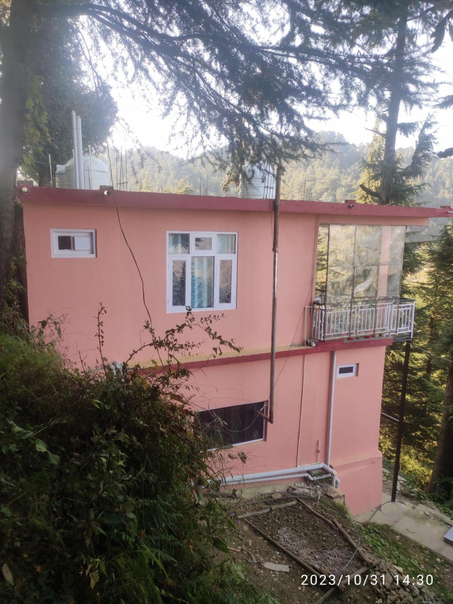 Tree Valley Homestay Chail Extérieur photo