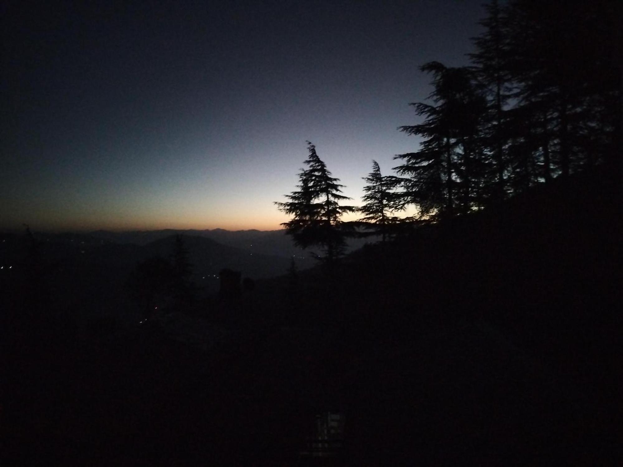 Tree Valley Homestay Chail Extérieur photo