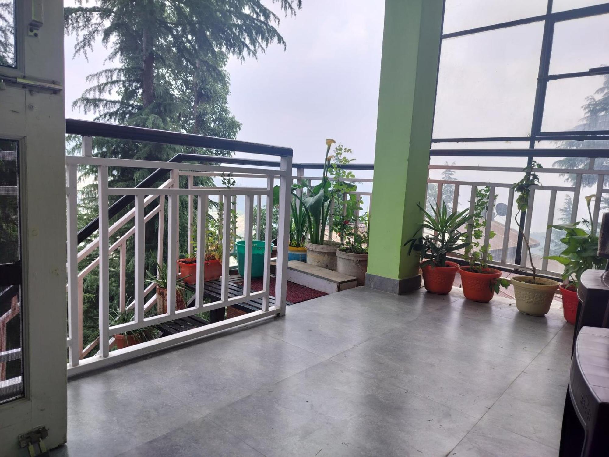 Tree Valley Homestay Chail Extérieur photo