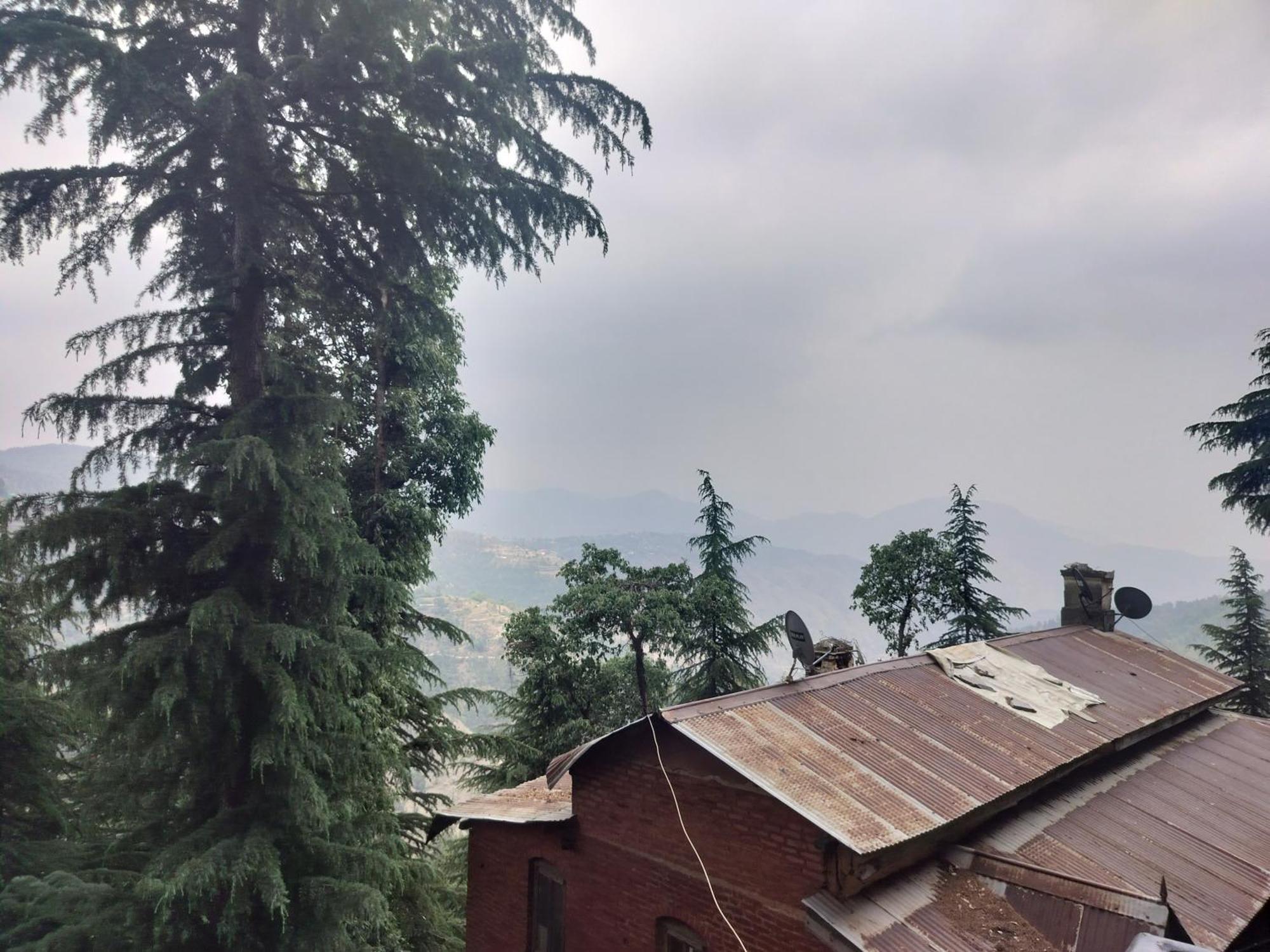 Tree Valley Homestay Chail Extérieur photo