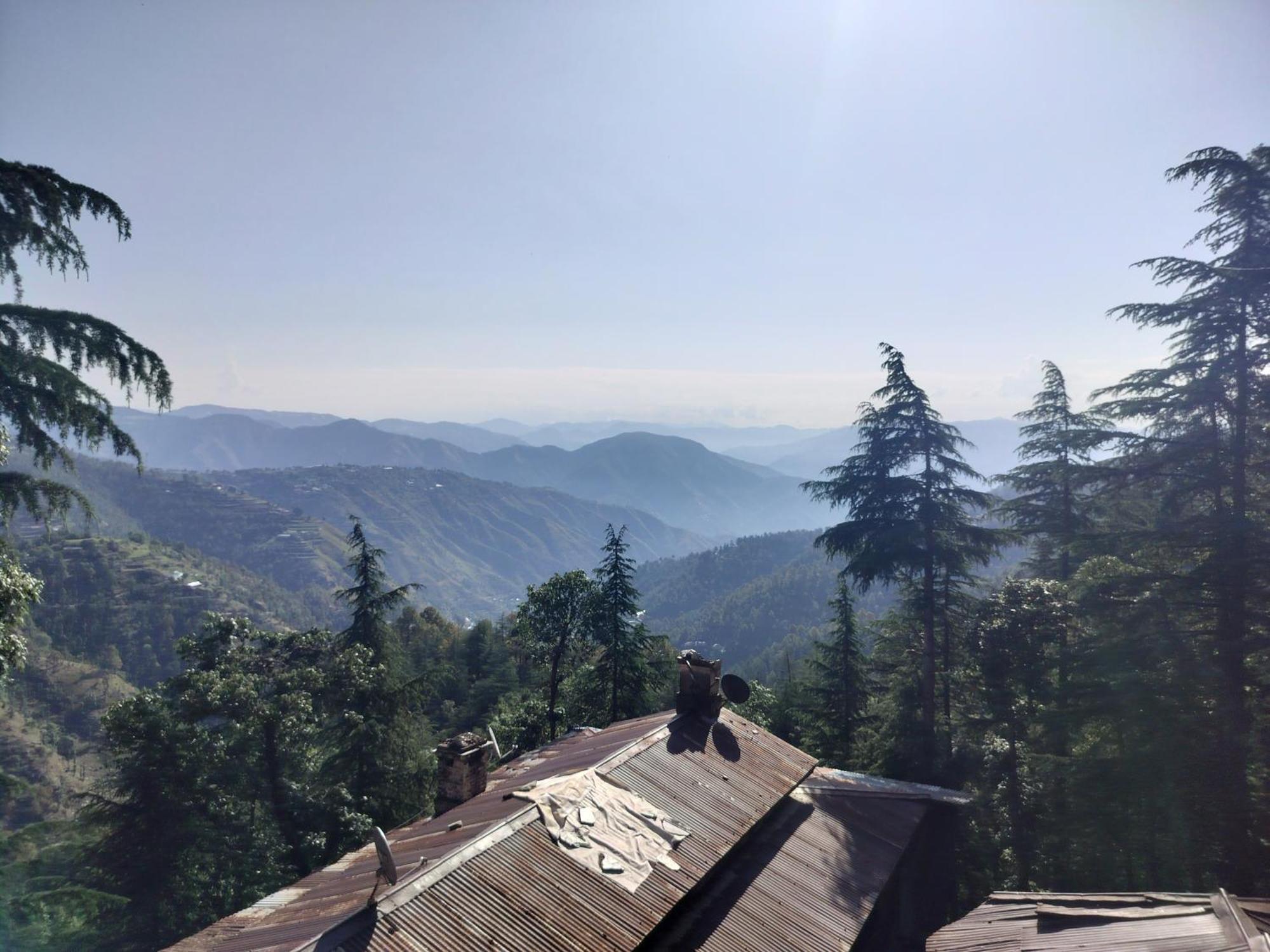 Tree Valley Homestay Chail Extérieur photo
