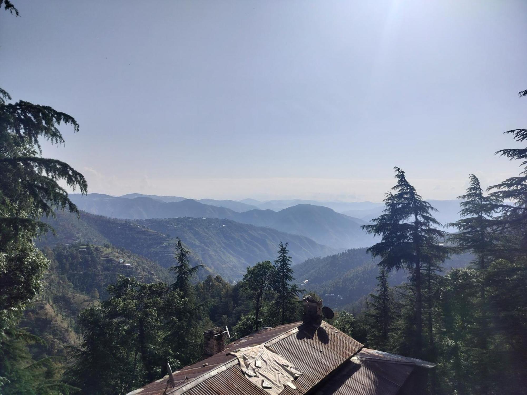 Tree Valley Homestay Chail Extérieur photo