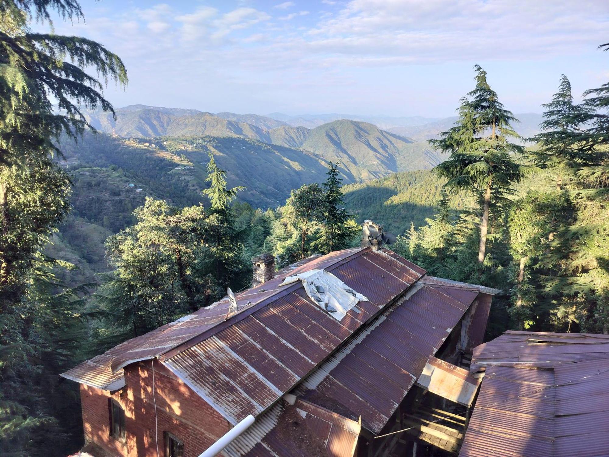 Tree Valley Homestay Chail Extérieur photo