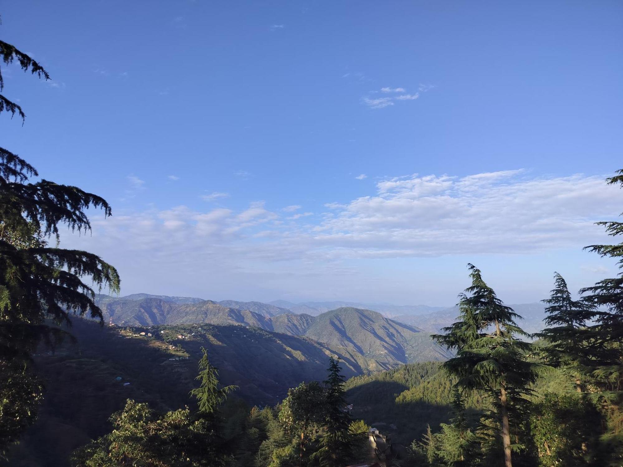 Tree Valley Homestay Chail Extérieur photo
