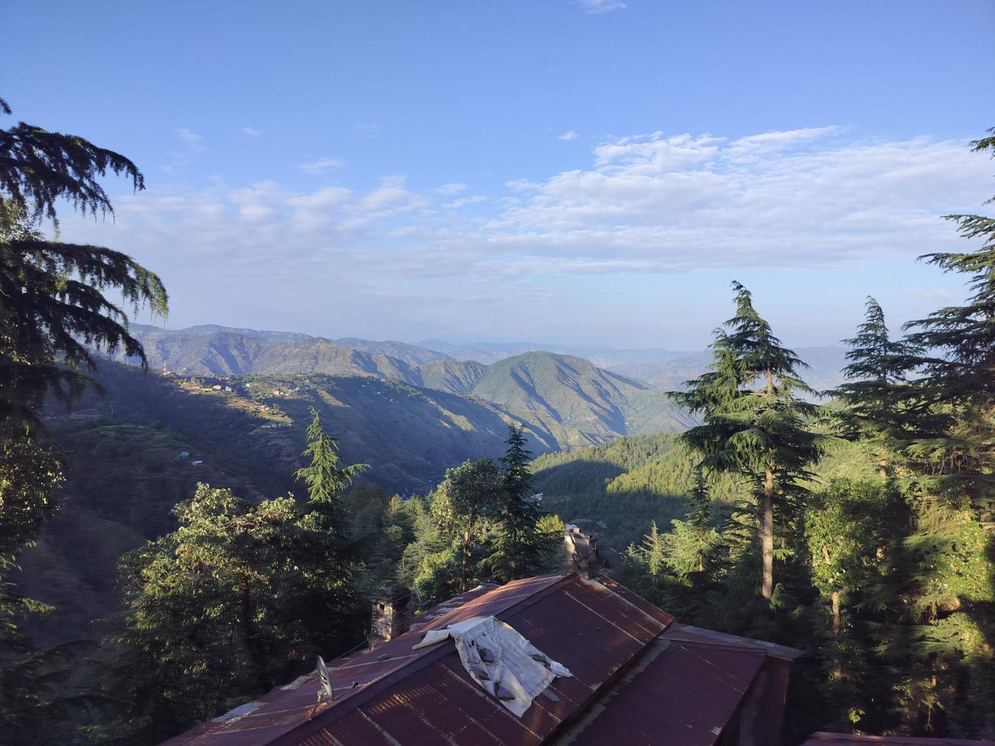 Tree Valley Homestay Chail Extérieur photo