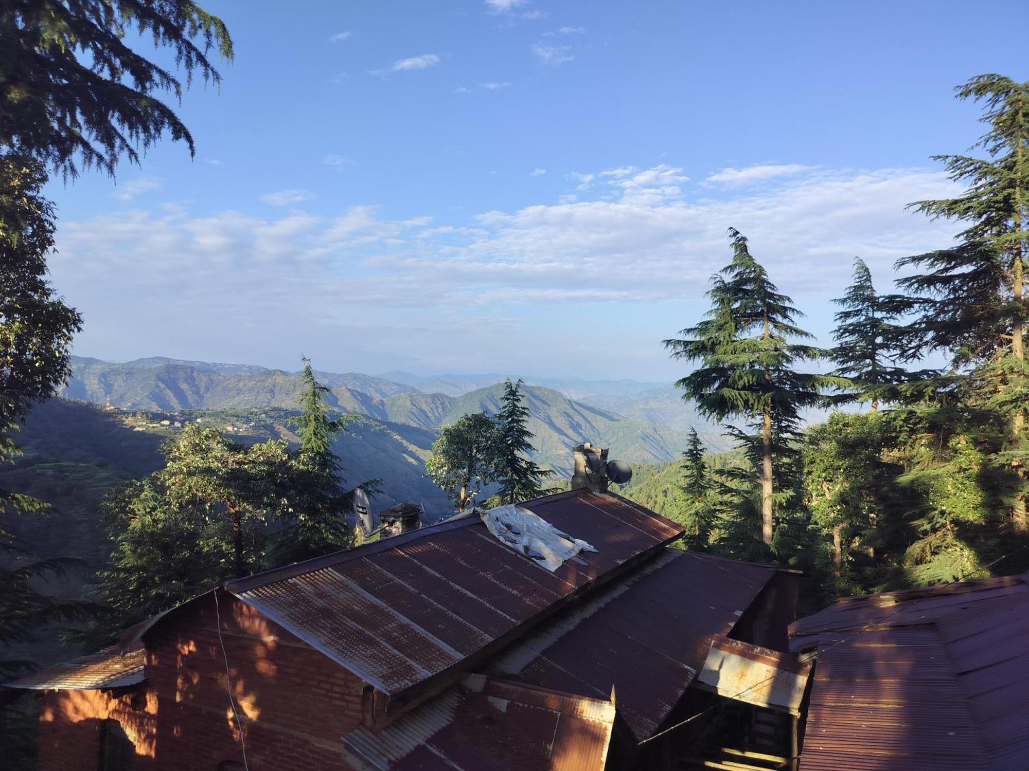 Tree Valley Homestay Chail Extérieur photo